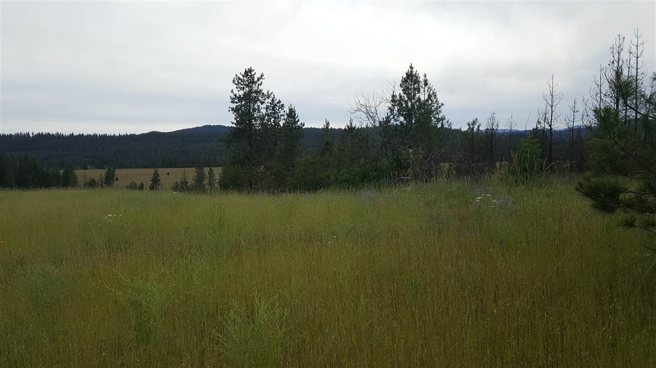 Lot A Carpenter Road Fruitland, WA 99129 - Photo 4 of 16 Gallery Image 4