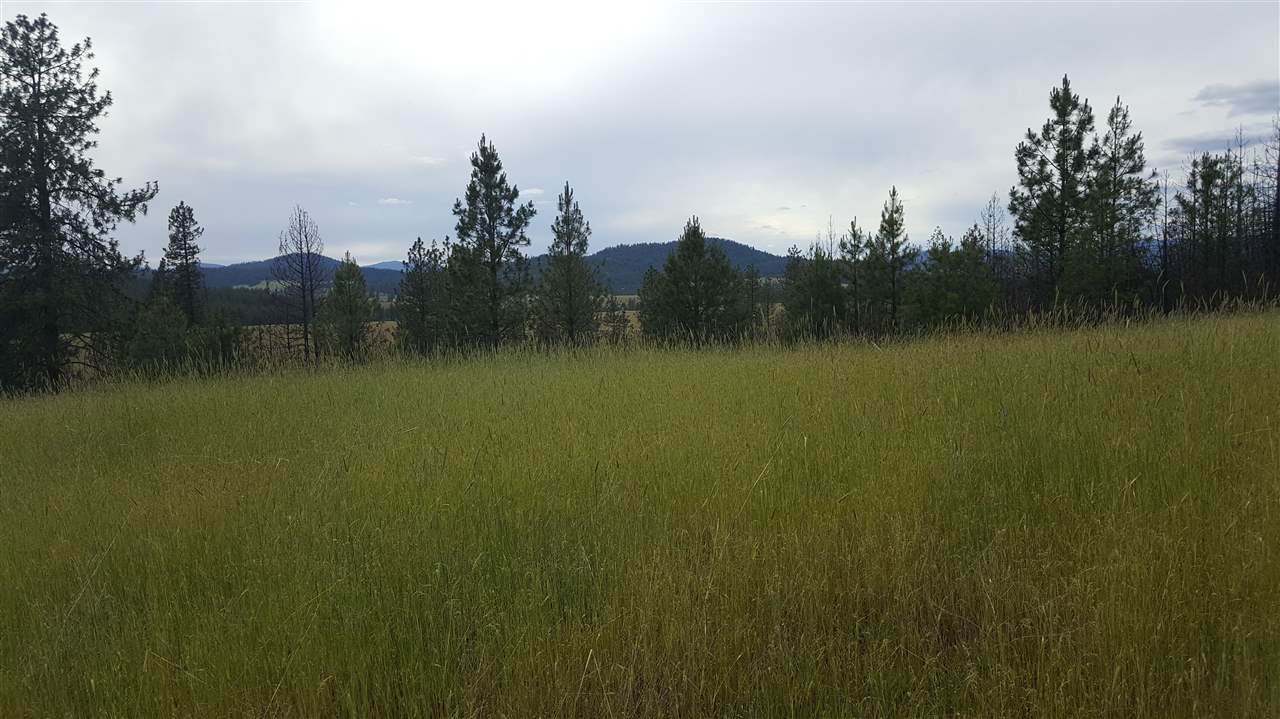 Lot A Carpenter Road Fruitland, WA 99129 - Photo 5 of 16 Gallery Image 5