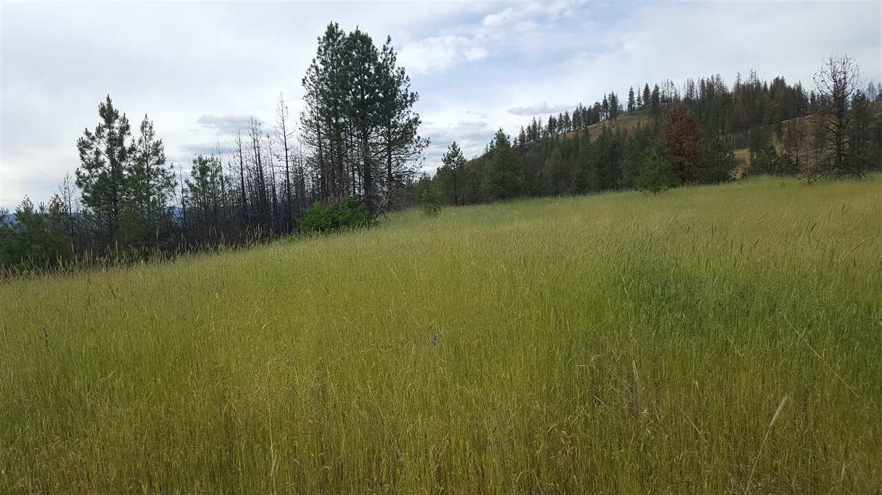 Lot A Carpenter Road Fruitland, WA 99129 - Photo 6 of 16 Gallery Image 6