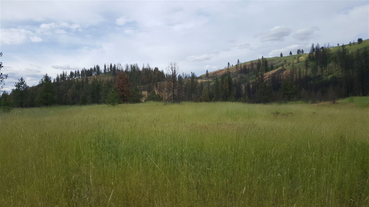 Lot A Carpenter Road Fruitland, WA 99129 - Photo 7 of 16 Gallery Image 7