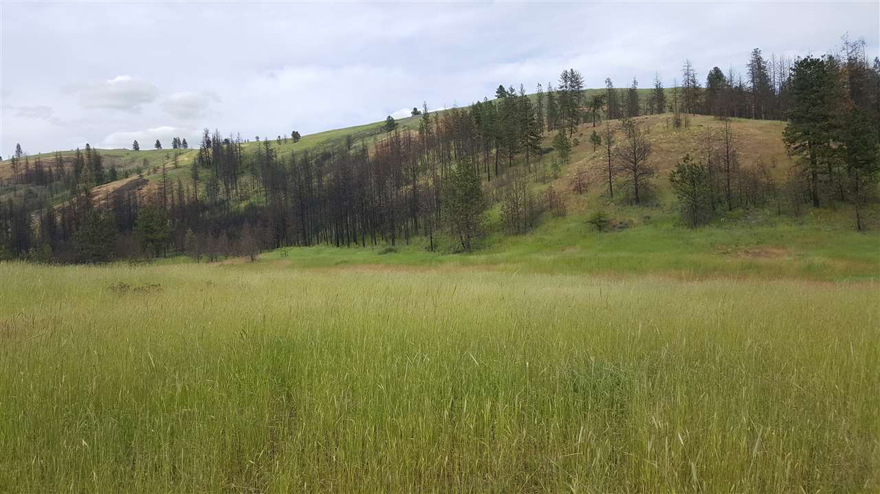 Lot A Carpenter Road Fruitland, WA 99129 - Photo 8 of 16 Gallery Image 8