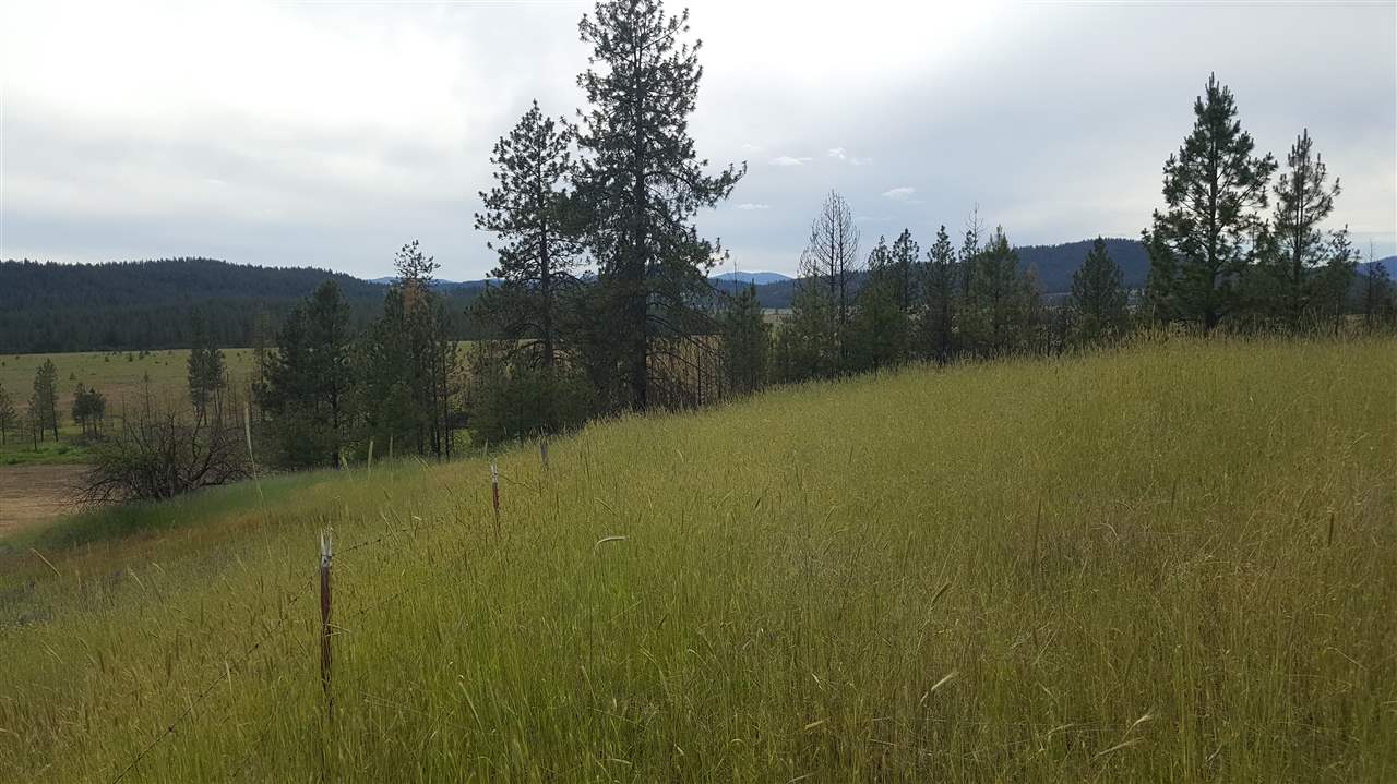 Lot A Carpenter Road Fruitland, WA 99129 - Photo 9 of 16 Gallery Image 9