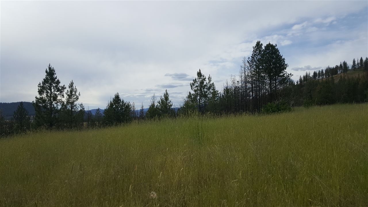 Lot A Carpenter Road Fruitland, WA 99129 - Photo 10 of 16 Gallery Image 10
