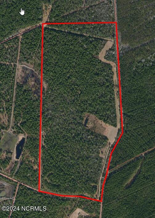 Aerial Image