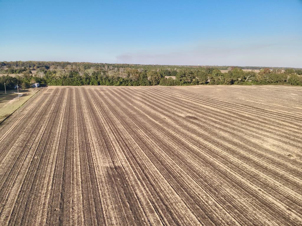 7.57-acres Burdeshaw Road Headland, AL 36345 - Photo 1 of 11