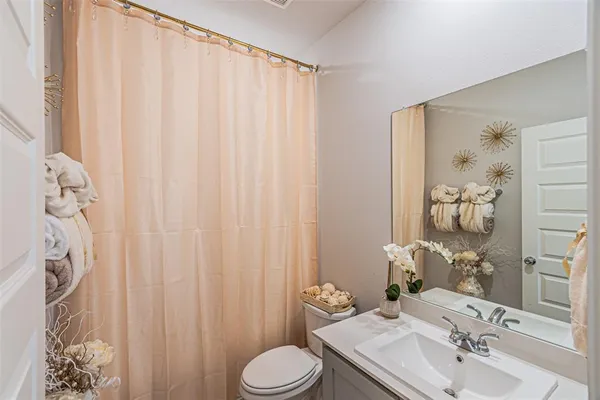 a bathroom with a sink a toilet and shower curtain