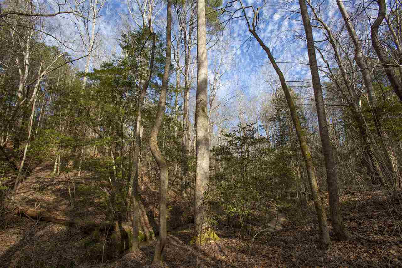 General Green Road Kittrell, NC 27544 - Photo 12 of 17 Photo 12