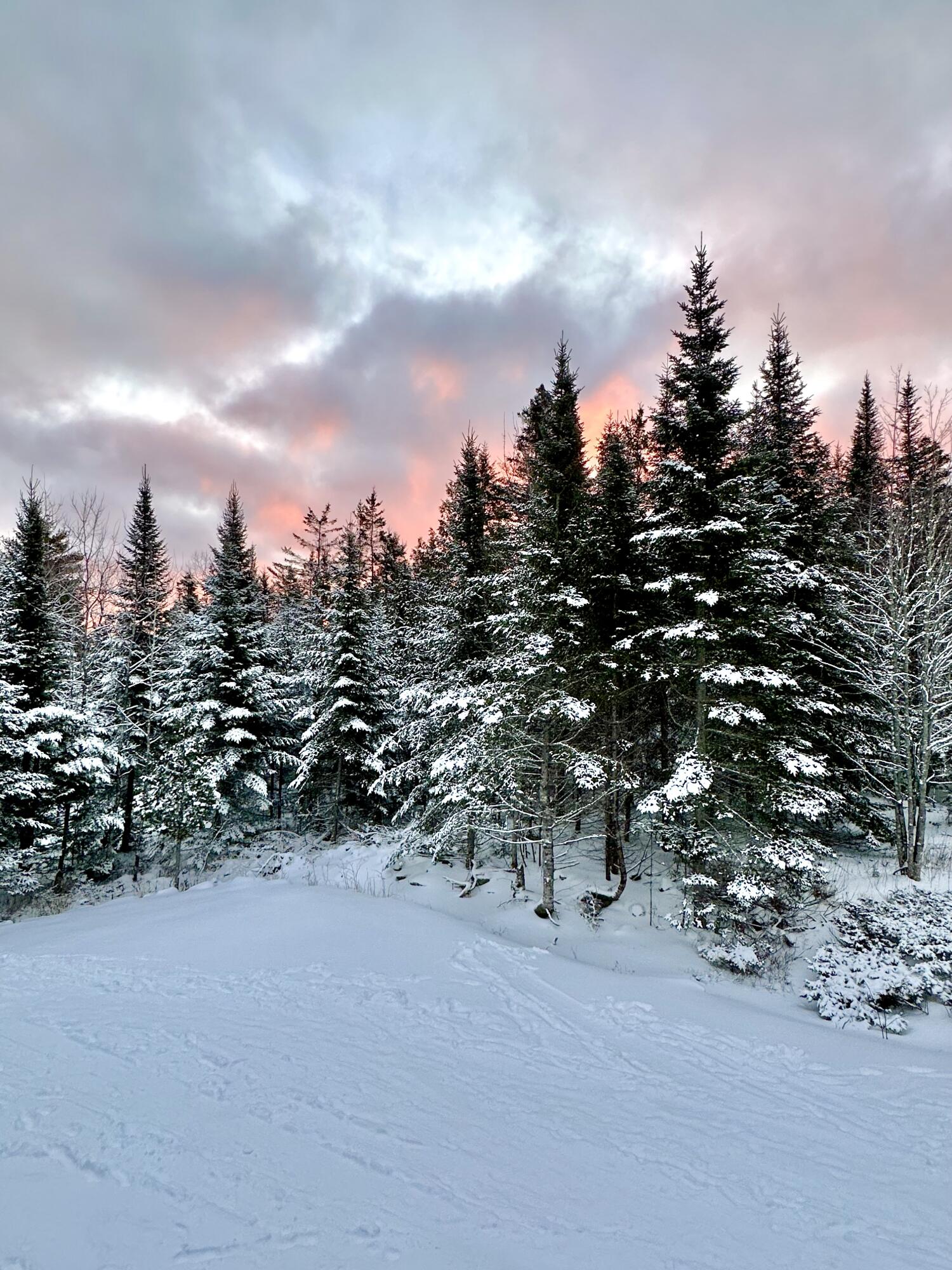 170 Partridge Cove Road Lamoine, ME 04605 - Photo 42 of 43 IMG_8785