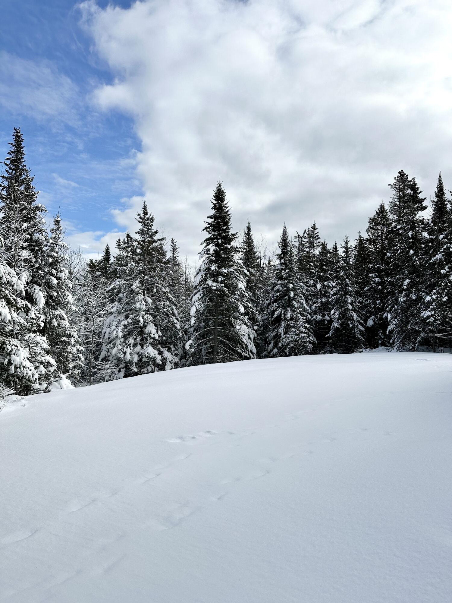 170 Partridge Cove Road Lamoine, ME 04605 - Photo 43 of 43 IMG_8906
