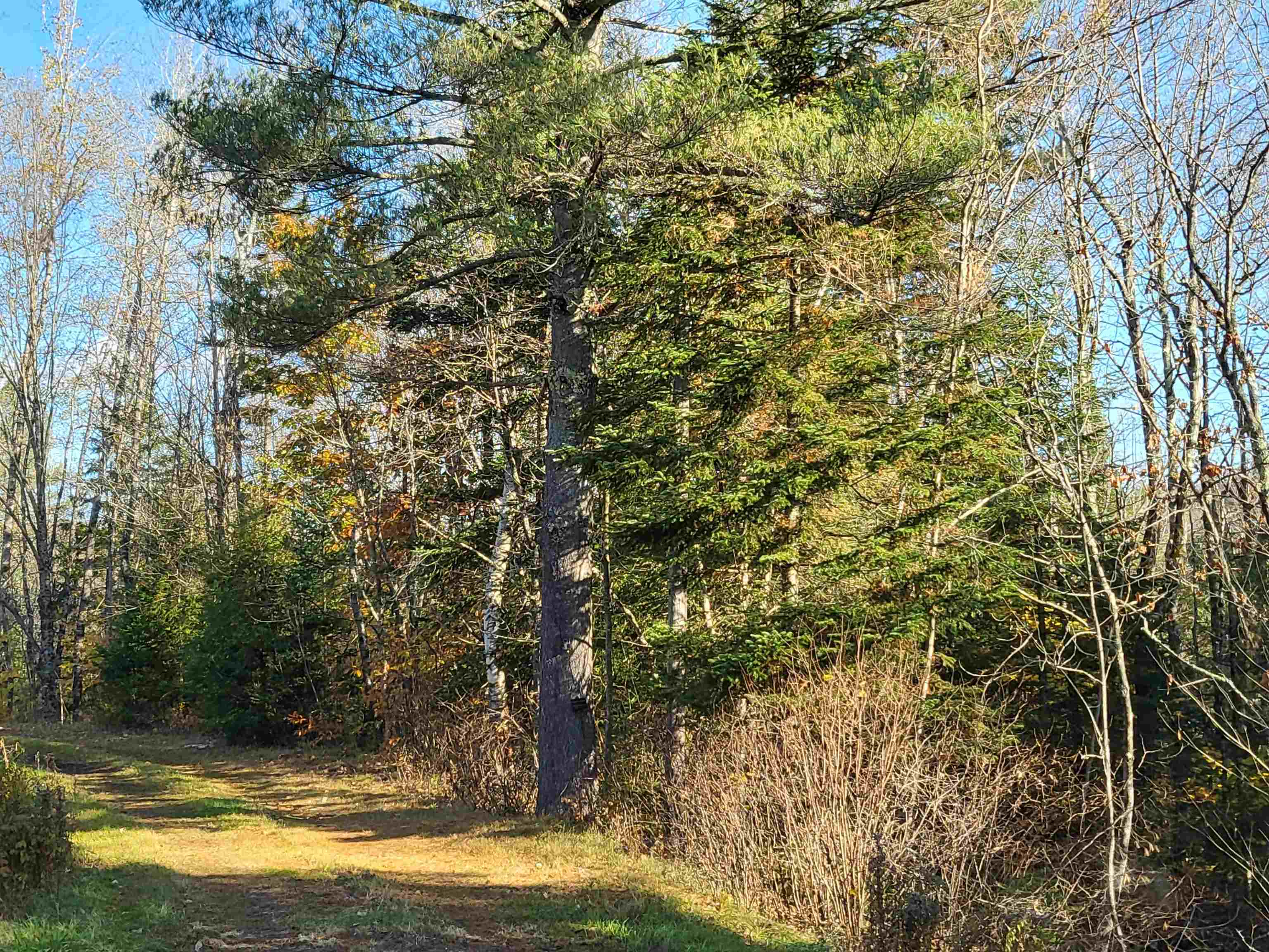5 Burchard Road West Dover, VT 05356 - Photo 4 of 5