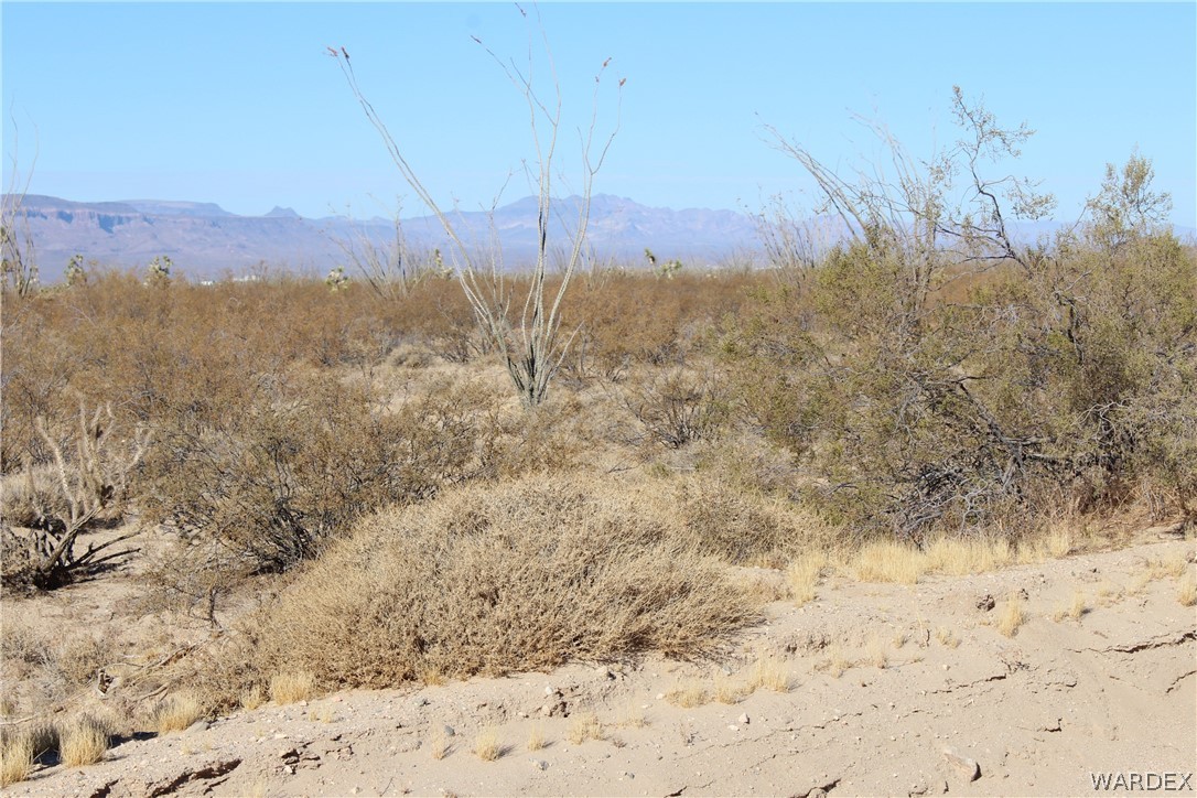 0 South Butch Cassidy Road Yucca, AZ 86438 - Photo 12 of 25