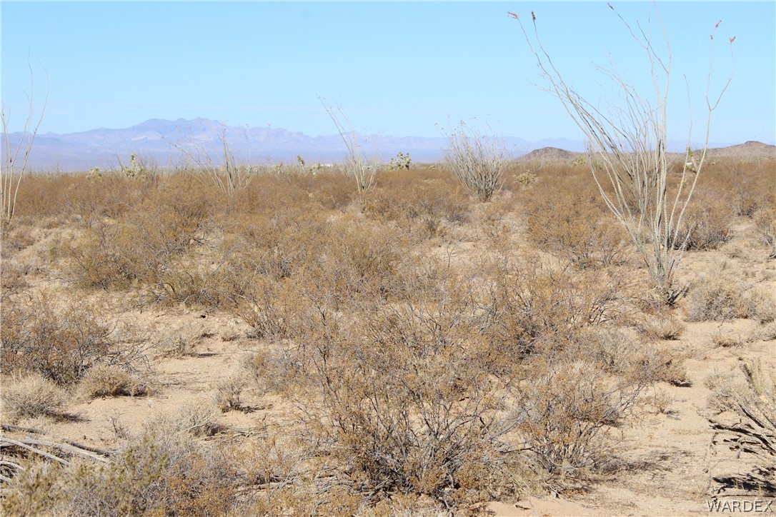0 South Butch Cassidy Road Yucca, AZ 86438 - Photo 16 of 25