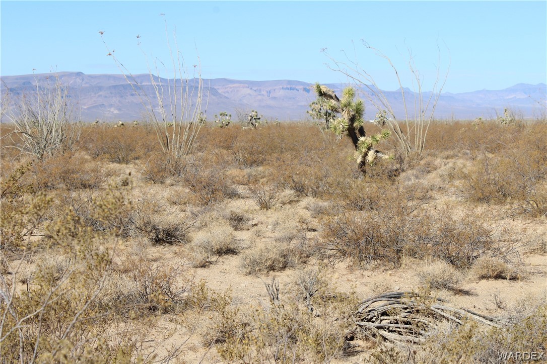 0 South Butch Cassidy Road Yucca, AZ 86438 - Photo 17 of 25