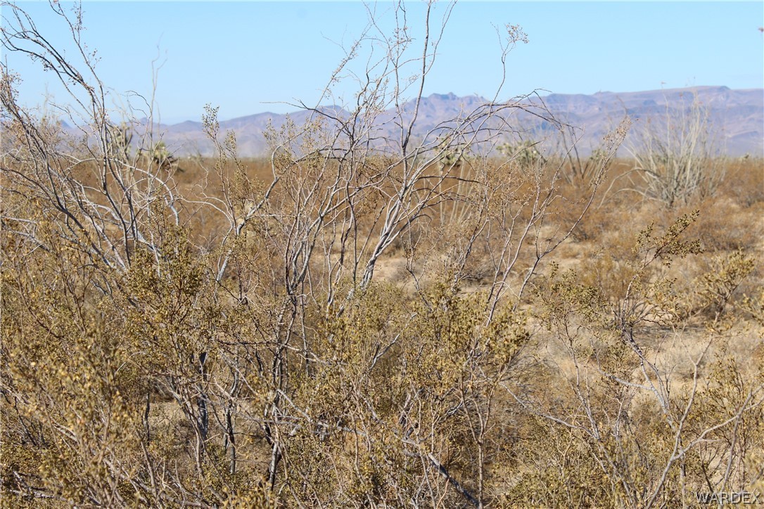 0 South Butch Cassidy Road Yucca, AZ 86438 - Photo 18 of 25