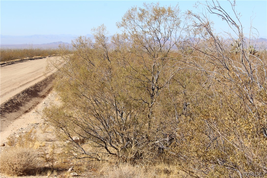 0 South Butch Cassidy Road Yucca, AZ 86438 - Photo 19 of 25