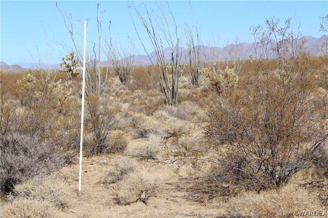 0 South Butch Cassidy Road Yucca, AZ 86438 - Photo 20 of 25