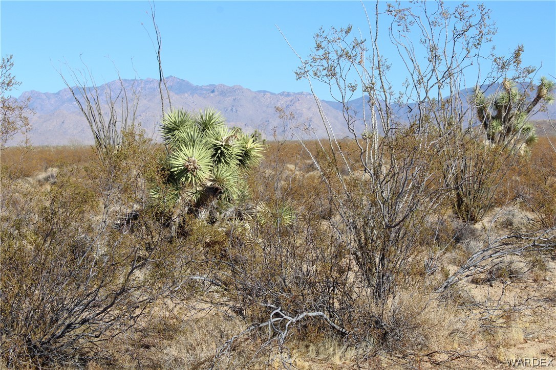0 South Butch Cassidy Road Yucca, AZ 86438 - Photo 21 of 25