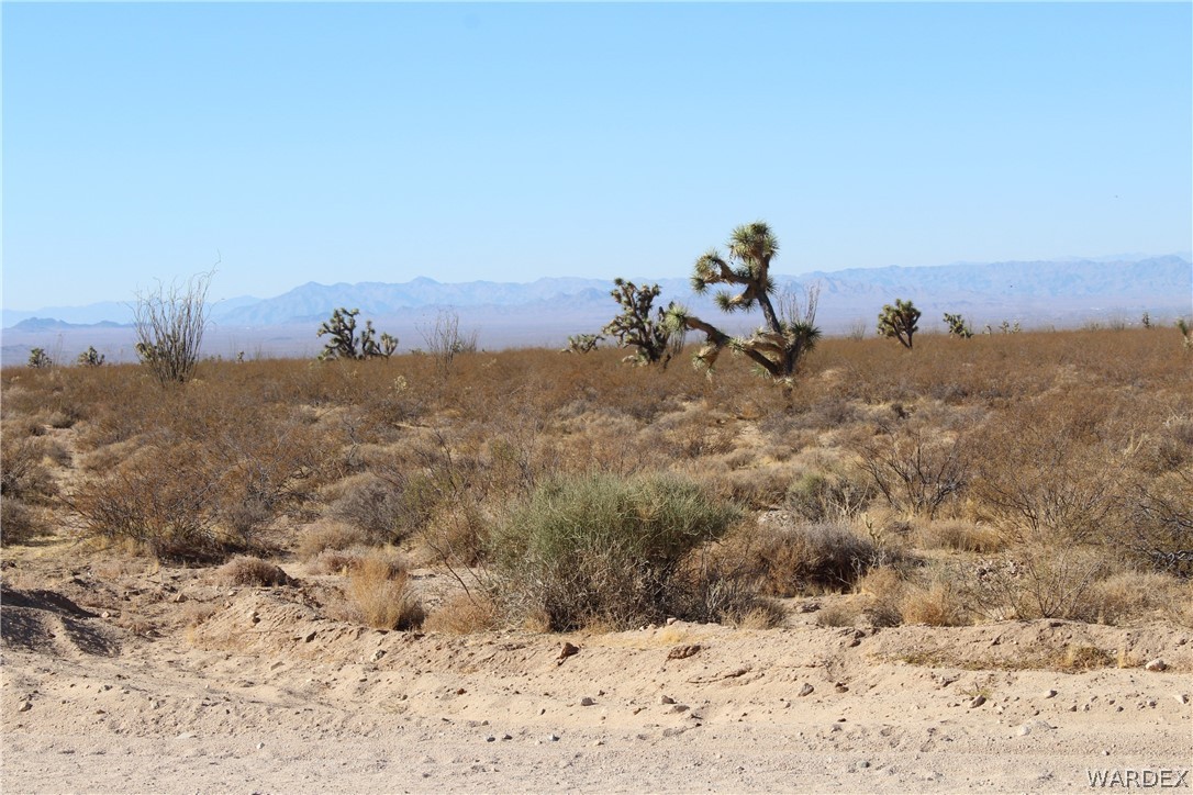 0 South Butch Cassidy Road Yucca, AZ 86438 - Photo 4 of 25