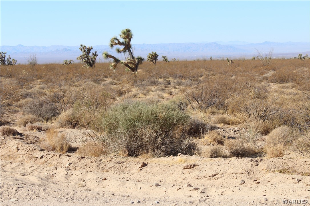 0 South Butch Cassidy Road Yucca, AZ 86438 - Photo 8 of 25