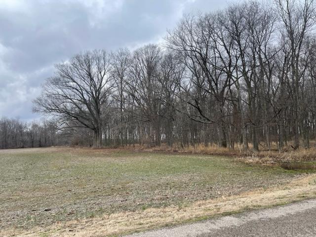 0 Caborn Road Mount Vernon, IN 47620 - Photo 1 of 10 Gallery Image 1