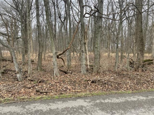 0 Caborn Road Mount Vernon, IN 47620 - Photo 2 of 10 Gallery Image 2