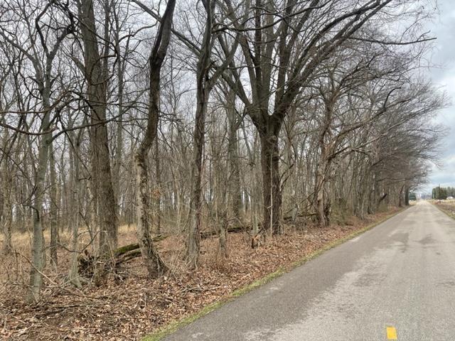0 Caborn Road Mount Vernon, IN 47620 - Photo 3 of 10 Gallery Image 3