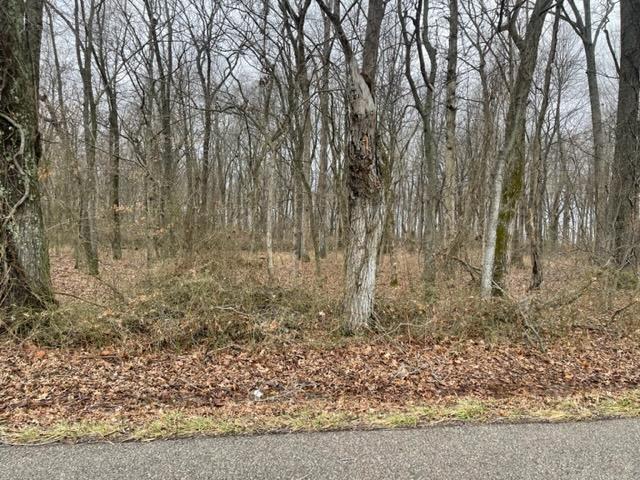 0 Caborn Road Mount Vernon, IN 47620 - Photo 4 of 10 Gallery Image 4