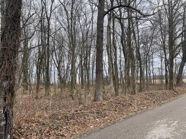 0 Caborn Road Mount Vernon, IN 47620 - Photo 5 of 10 Gallery Image 5