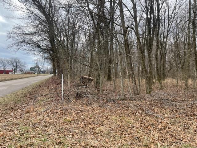 0 Caborn Road Mount Vernon, IN 47620 - Photo 8 of 10 Gallery Image 8