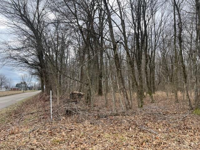 0 Caborn Road Mount Vernon, IN 47620 - Photo 9 of 10 Gallery Image 9