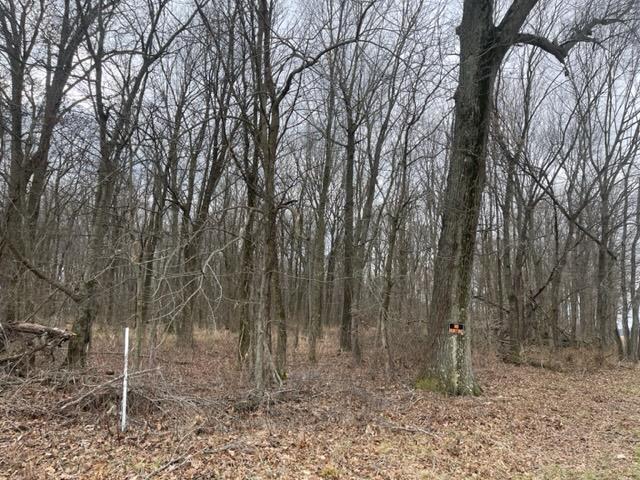 0 Caborn Road Mount Vernon, IN 47620 - Photo 10 of 10 Gallery Image 10