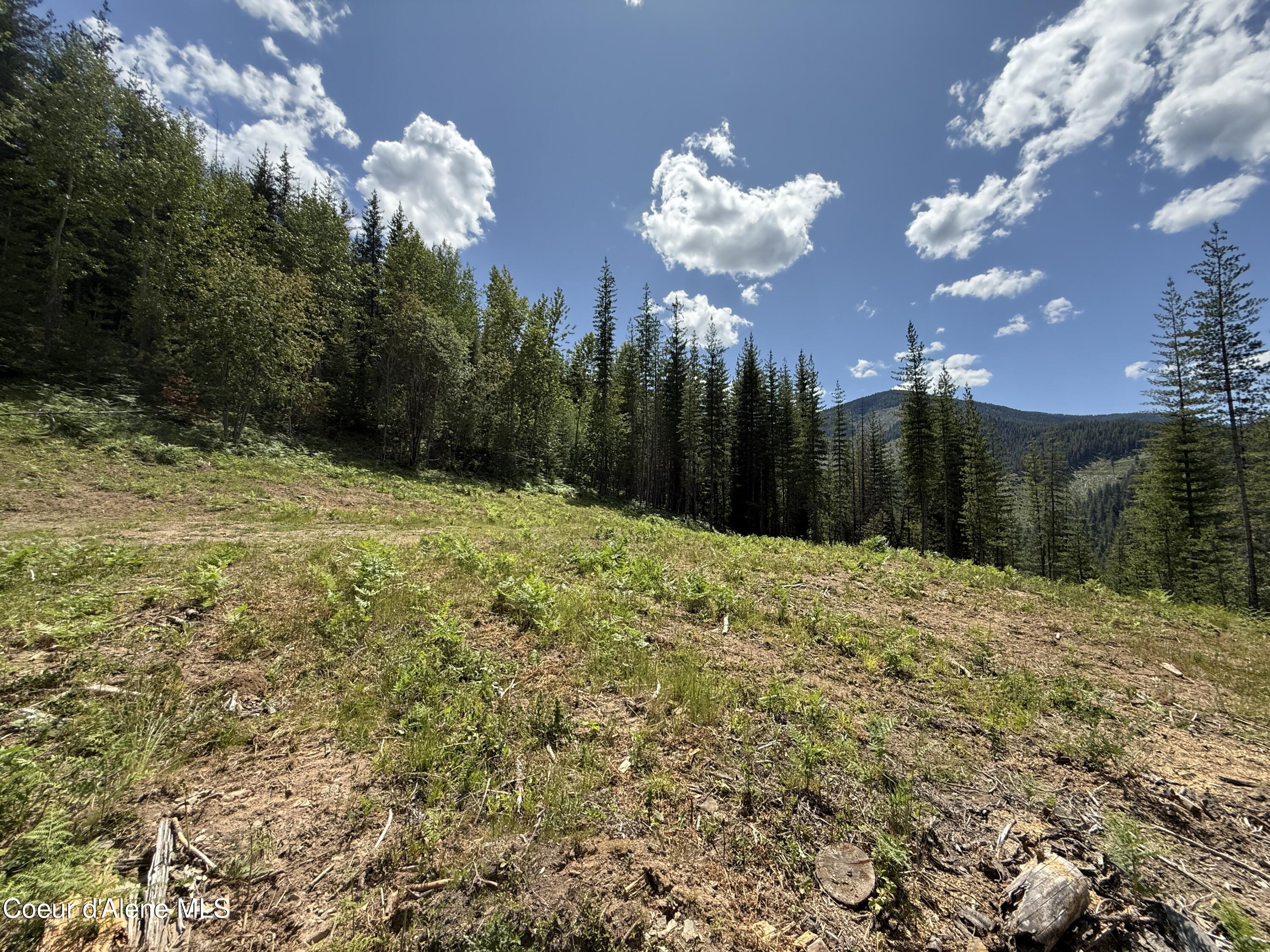 928 Polaris Peak Road Kellogg, ID 83837 - Photo 4 of 11 4
