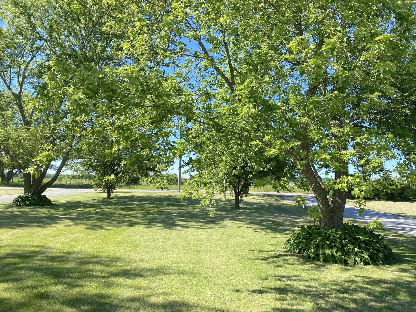 1347 West Corning Road Beecher, IL 60401 - Photo 21 of 22
