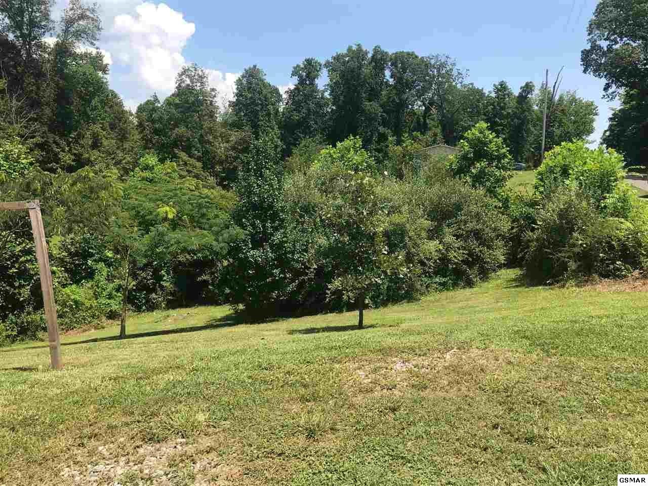 2093 Sims Road Dandridge, TN 37725 - Photo 21 of 22 Gallery Image 21
