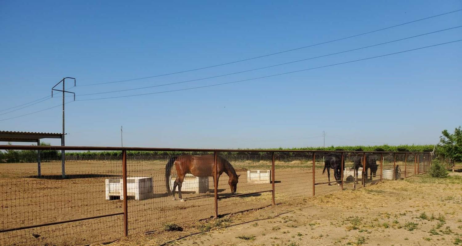 22725 East Parlier Avenue Reedley, CA 93654 - Photo 17 of 20 Gallery Image 17