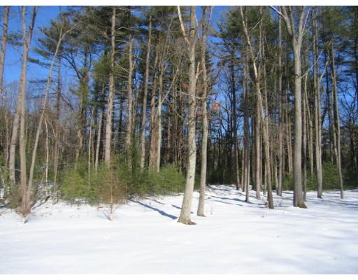 505 Hayward Mill Road Concord, MA 01742 - Photo 8 of 12 a view of a backyard of a house