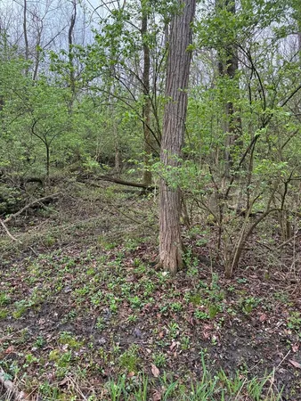$208,000 | 12934 West Hadley Road, Homer Glen, IL 60491