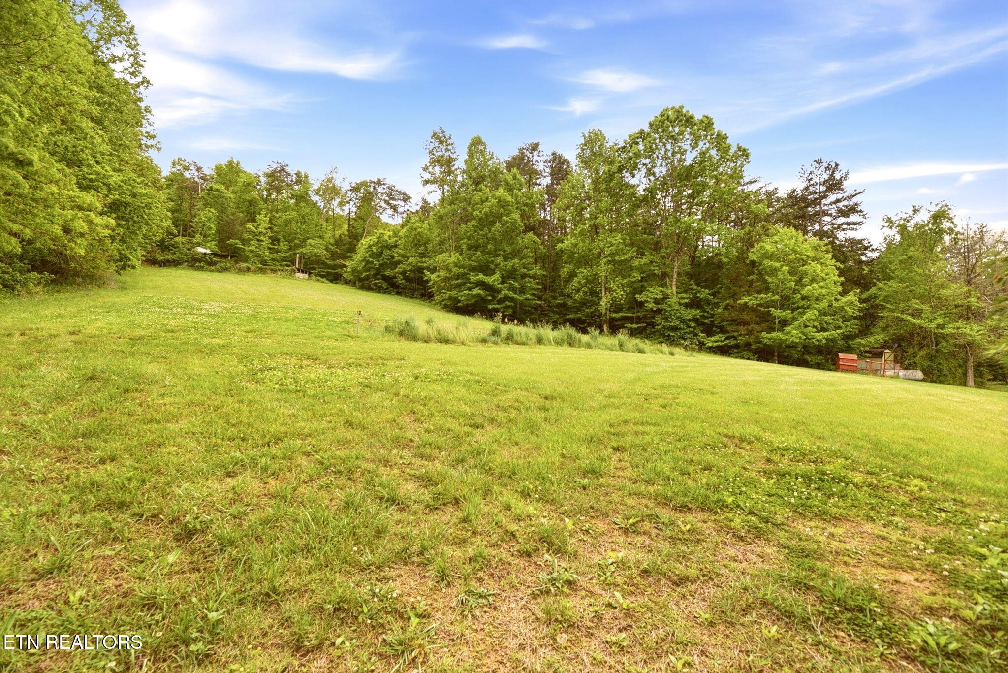 235 Raccoon Valley Road Maynardville, TN 37807 - Photo 29 of 41