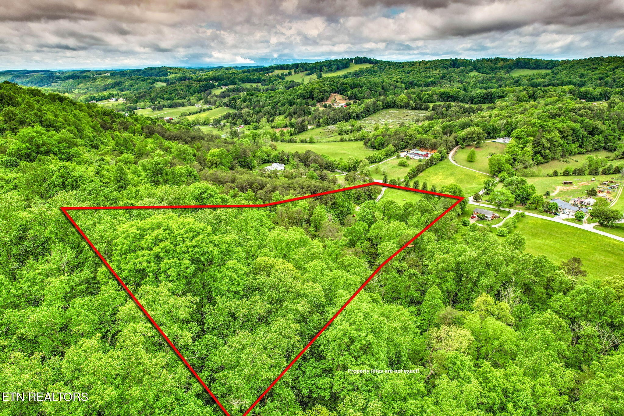 235 Raccoon Valley Road Maynardville, TN 37807 - Photo 36 of 41