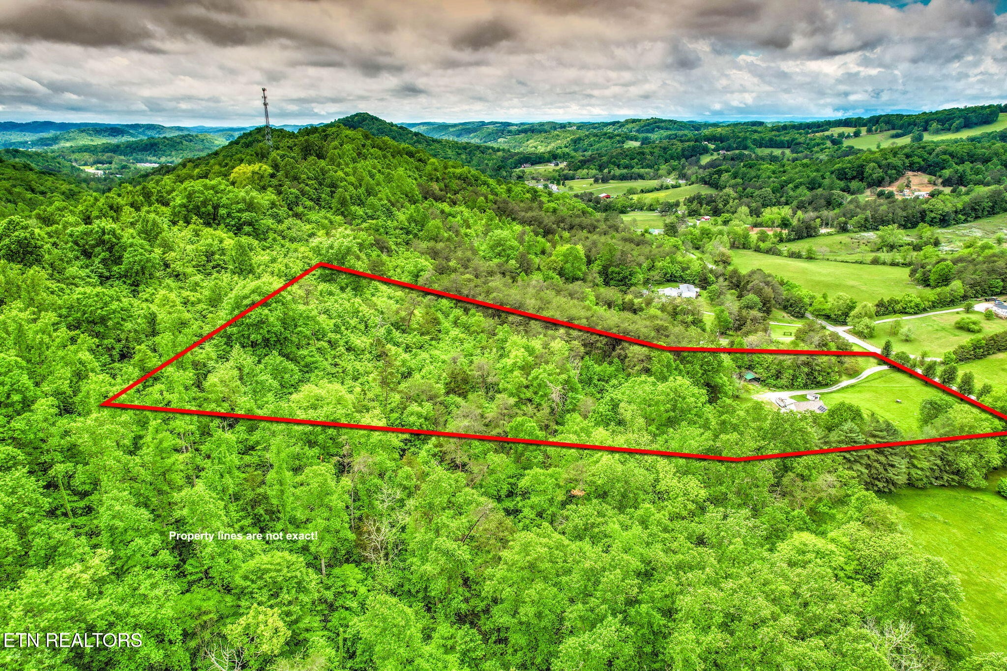 235 Raccoon Valley Road Maynardville, TN 37807 - Photo 41 of 41