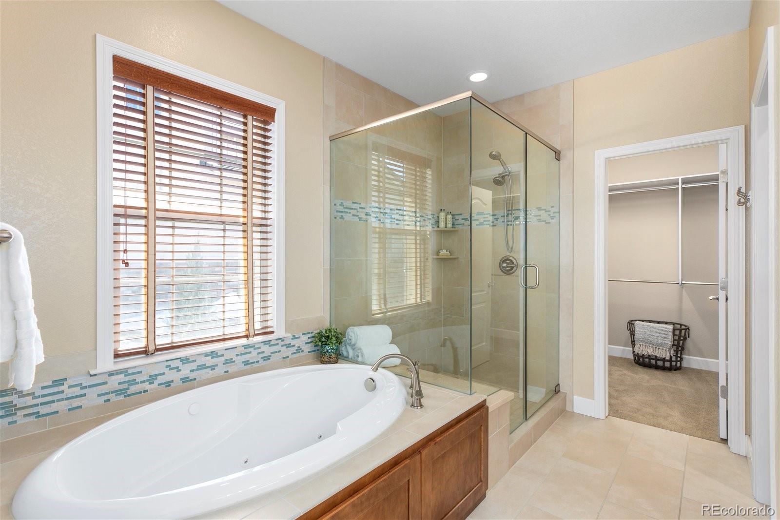 10634 Sundial Rim Road Highlands Ranch, CO 80126 - Photo 28 of 40 a spacious bathroom with a tub shower and sink