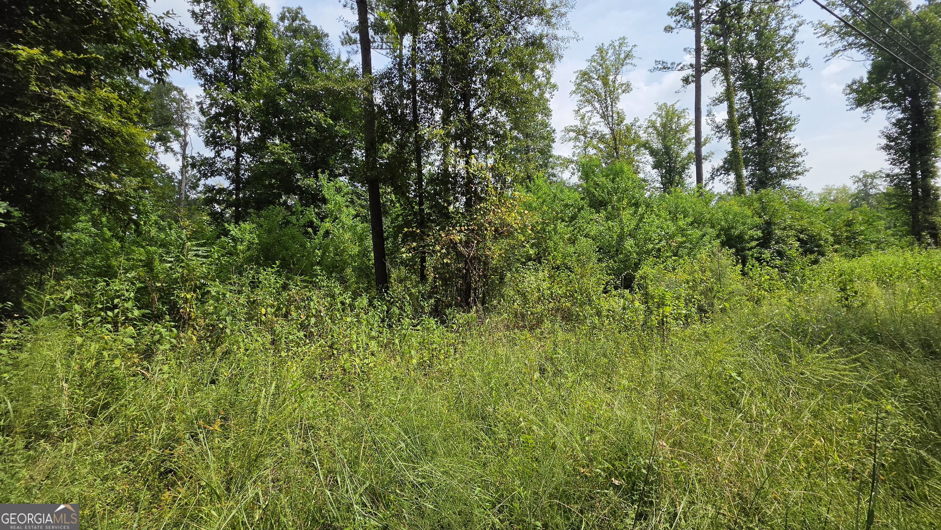7127 New Forsyth Road Juliette, GA 31046 - Photo 11 of 12 Gallery Image 11