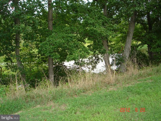 17015 Wolf Road Henderson, MD 21640 - Photo 12 of 30 View