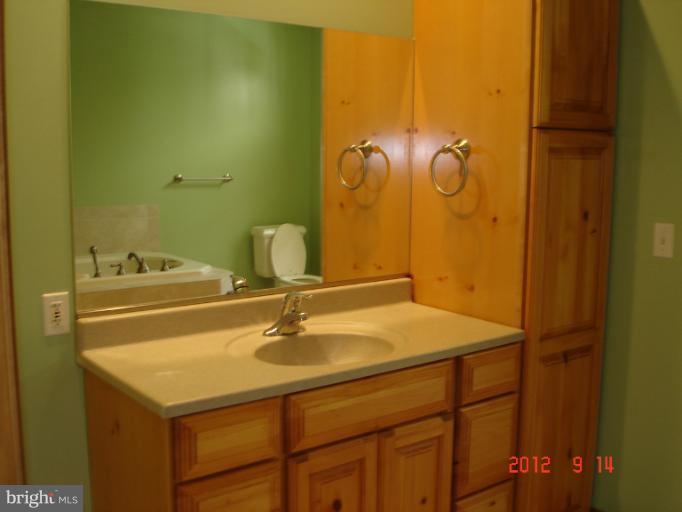 17015 Wolf Road Henderson, MD 21640 - Photo 14 of 30 Bath (Master)
