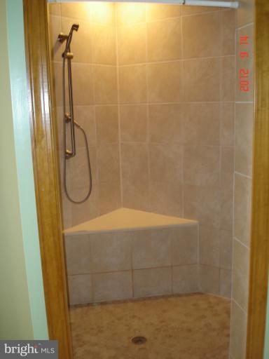 17015 Wolf Road Henderson, MD 21640 - Photo 19 of 30 Bath (Master)