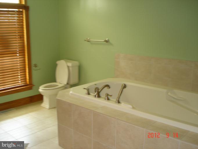 17015 Wolf Road Henderson, MD 21640 - Photo 29 of 30 Bath (Master)
