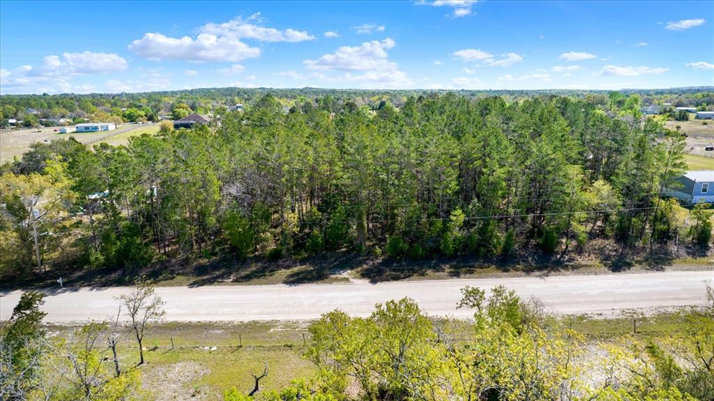 12010 Fulmar Road Weeki Wachee, FL 34614 - Photo 1 of 1 Gallery Image 1