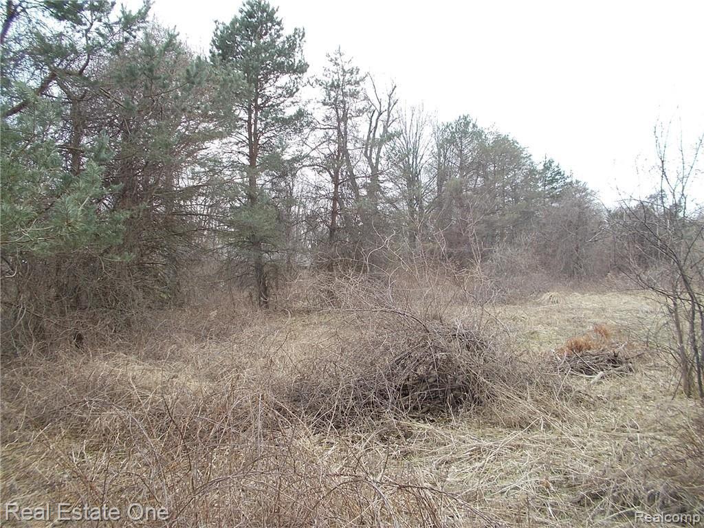 0 North Lake George Road Oakland, MI 48363 - Photo 14 of 55