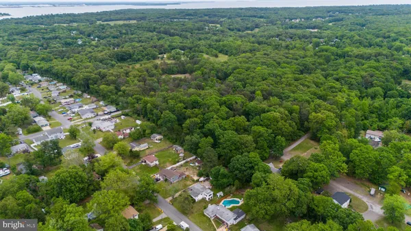 a view of a city with lush green forest