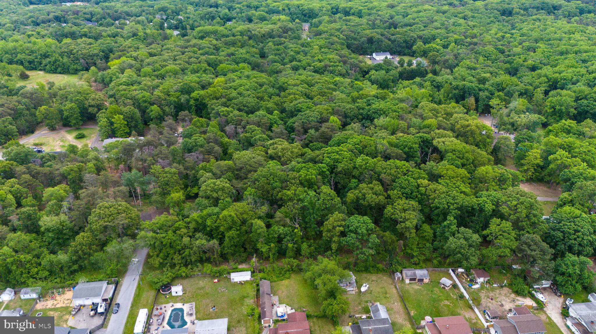 4414 Purple Martins Road Pasadena, MD 21122 - Photo 7 of 9 a view of a yard